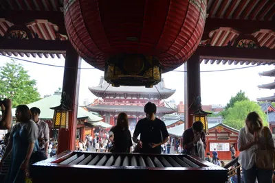 DSC_3488 (Large).JPG